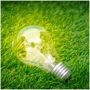 bulb_image