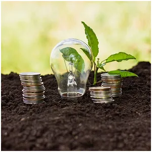 coins and bulb
